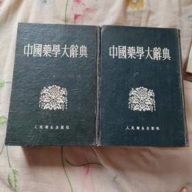 中国药学大辞典 上下册全