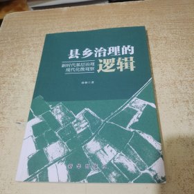 县乡治理的逻辑 新时代基层治理现代化微观察