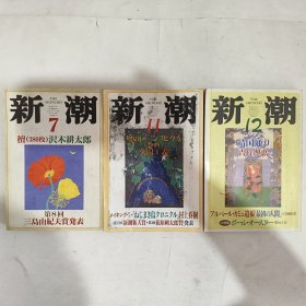 ◇日文原版小说集 新潮 1995年7月特大号，11号特大号，12月号 (3本合售)