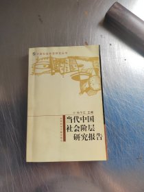 当代中国社会阶层研究报告（正版丶无笔记\有点黄斑\实物拍摄）