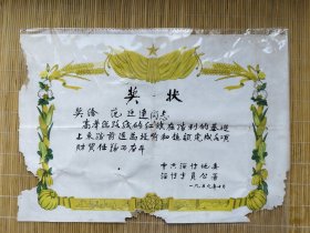 上世纪五十年代末淄博地委专员公署颁发白奖状，舒同体七分半书