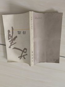 艾青诗选（窄开本）