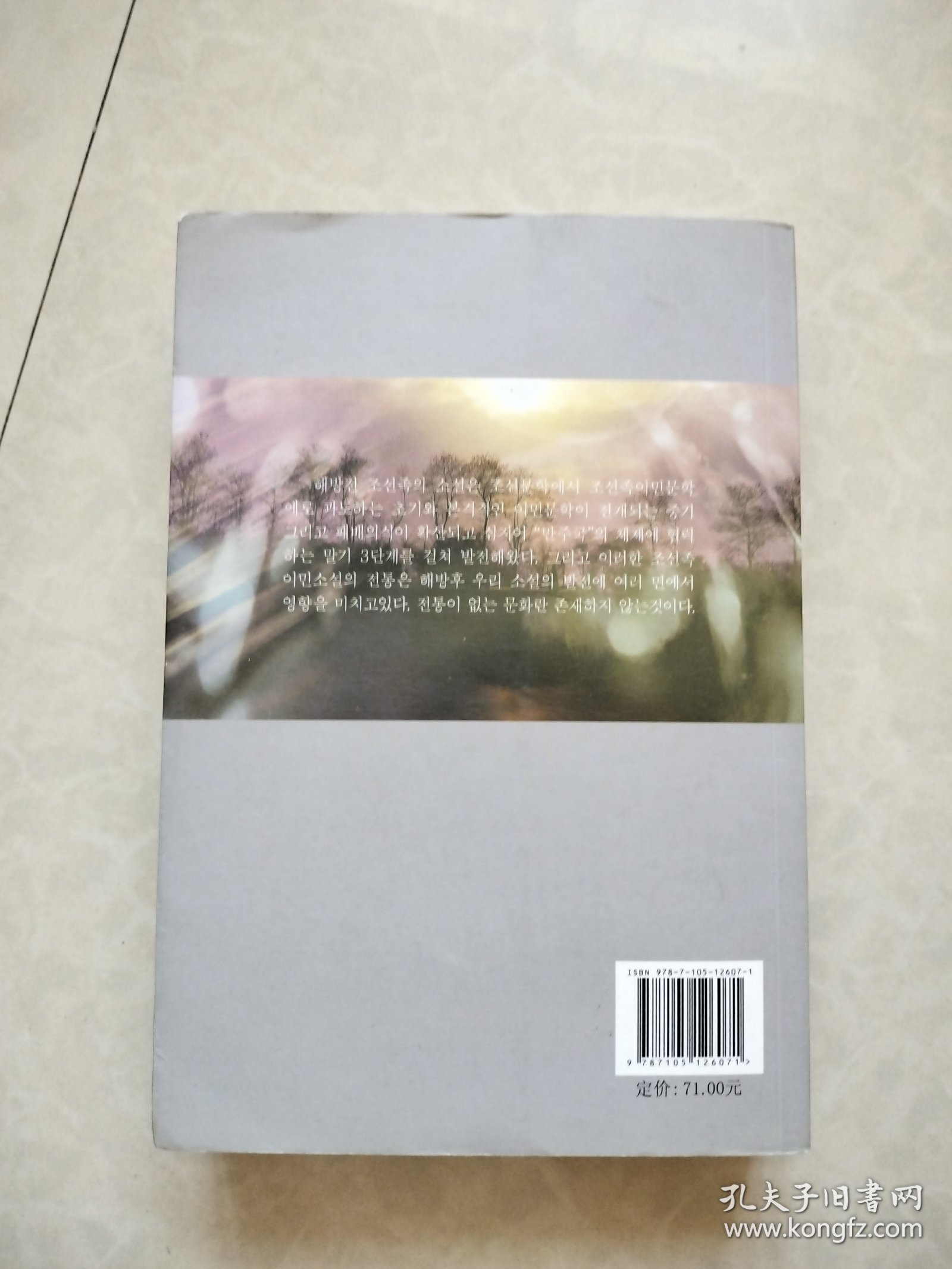 解放前中短篇小说精选：朝鲜文