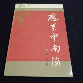 魂系中南海