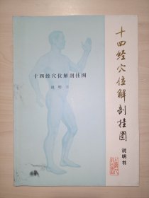 十四经穴位解剖挂图 说明书（1976年初版发行 日文版）