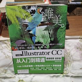 中文版Illustrator CC从入门到精通（微课视频 全彩版）