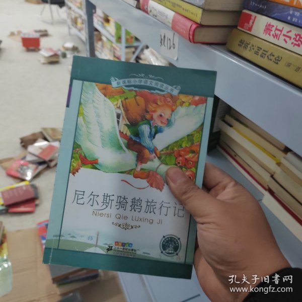 新课标小学语文阅读丛书:尼尔斯骑鹅旅行记 （第3辑 彩绘注音版）