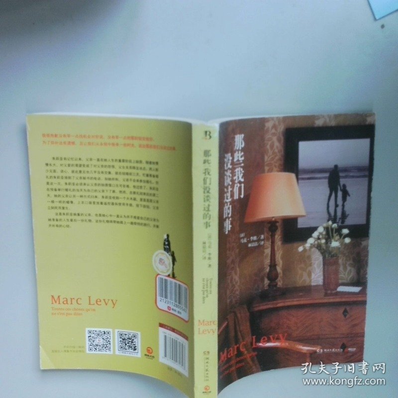 那些我们没谈过的事   法 马克 李维 Marc Levy 著 湖南文艺出版社