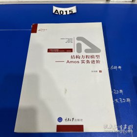 结构方程模型-Amos 实务进阶