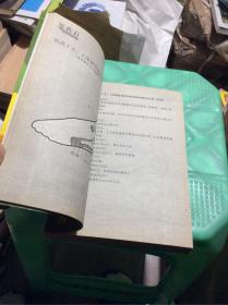 吴若石新足部健康法 无盘