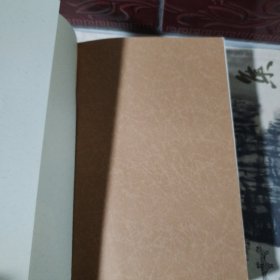 臧克家纪念集：他还活着