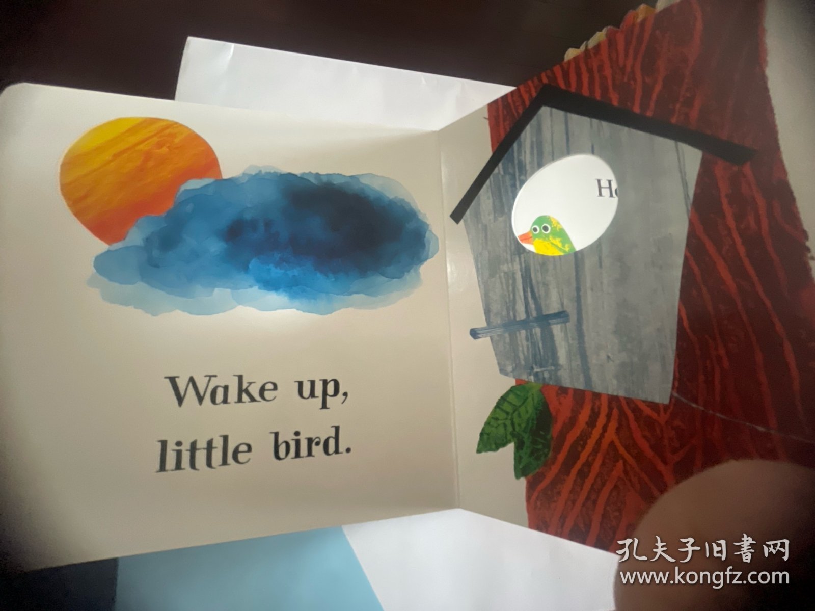 英文原版绘本 异形书 纸板书英文原版 Hello Little Bird 你好小鸟 petr horacek