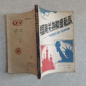 美国海关特种缉私队“外流行动”组揭秘