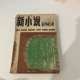 新小说在1985年