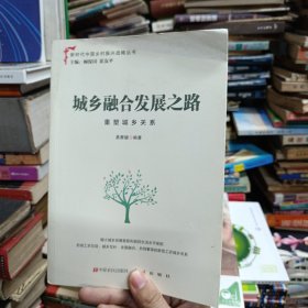 城乡融合发展之路：重塑城乡关系
