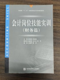 新思维“十一五”全国高职高专系列规划教材：会计岗位技能实训（财务篇）