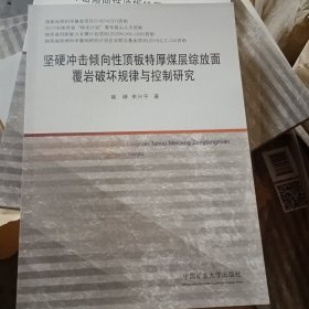 坚硬冲击倾向性顶板特厚煤层综放面覆岩破坏规律与控制研究 9787564649050