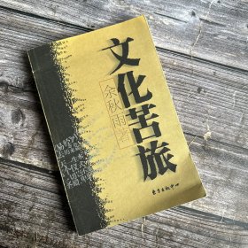 正版现货 文化苦旅