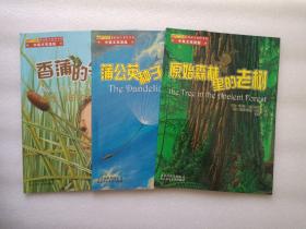 美妙的大自然系列·中英文双语版：原始森林里的老树 +蒲公英种子的旅行 + 香蒲的邻居    3本合售