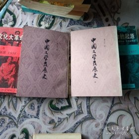 中国文学发展史 上册中册两本