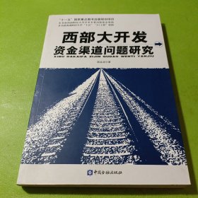 西部大开发资金渠道问题研究 如图现货速发