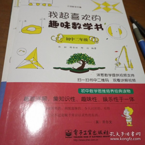 我引领数学风暴：超喜欢的趣味数学书（初中2年级）