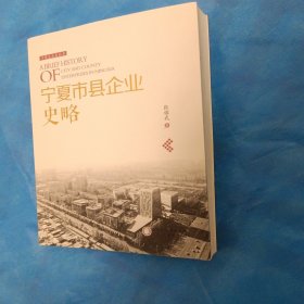 宁夏市县企业史略/宁夏企业史丛书