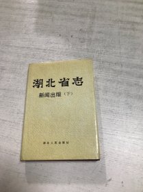 湖北省志·新闻出版（下）