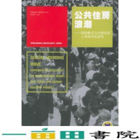 公共住房浪潮国际模式与中国安居工程的对比研究世联地9787111179580