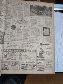 大公报，64年8月1到8月31日合订本，长54厘米，宽39厘米，自己看清楚按上面拍的发货，售出不退货，B4号袋
