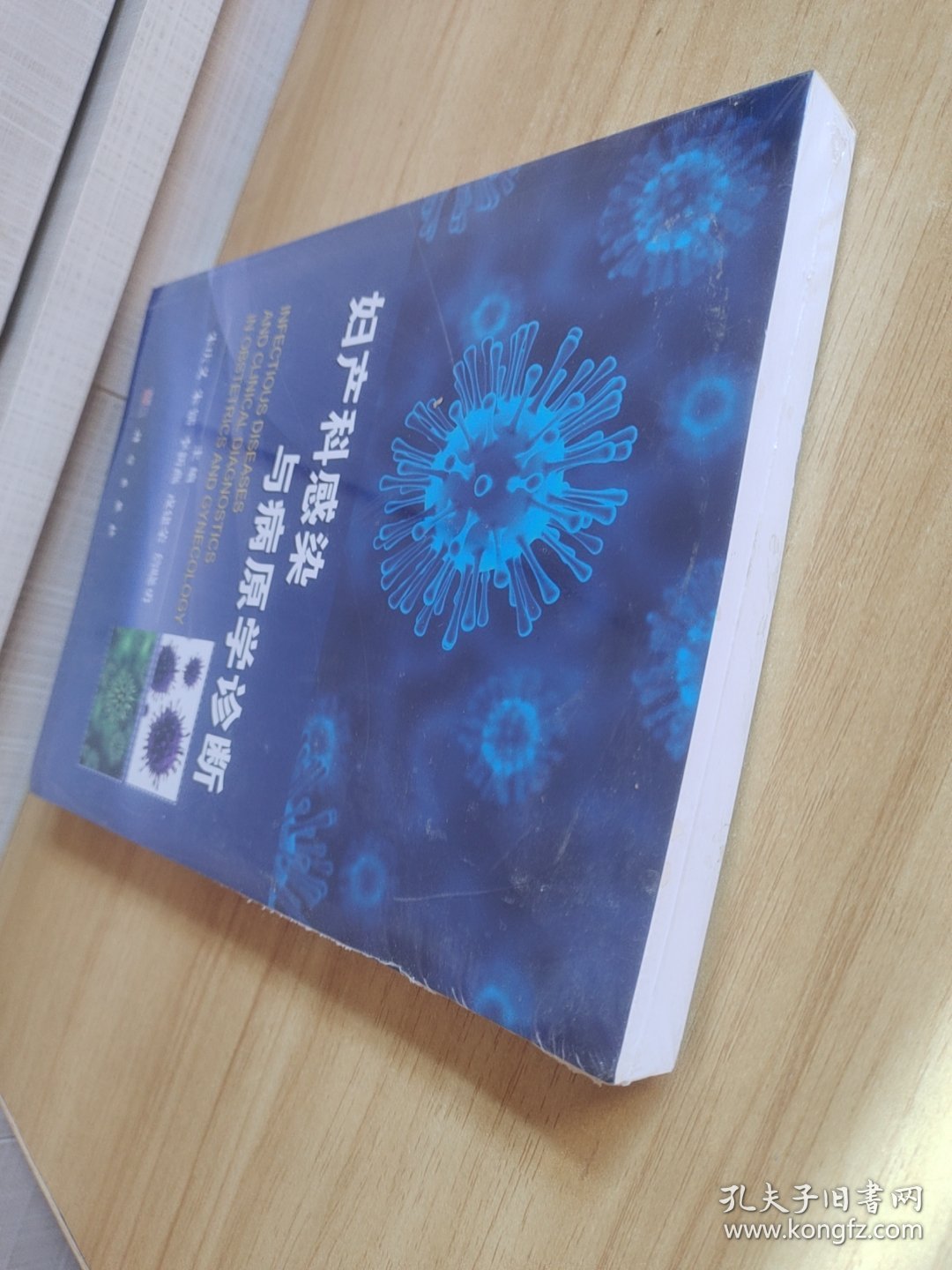 妇产科感染与病原学诊断