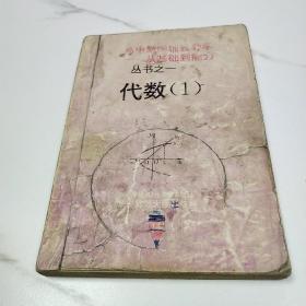 高中数学辅教导学——从基础到能力 丛书之一 代数 1