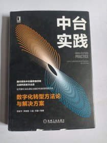 中台实践：数字化转型方法论与解决方案