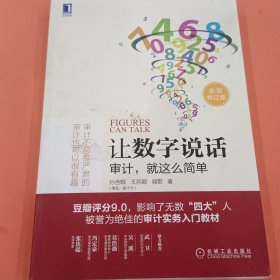 让数字说话：审计，就这么简单