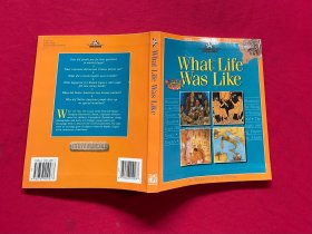 What Life Was Like