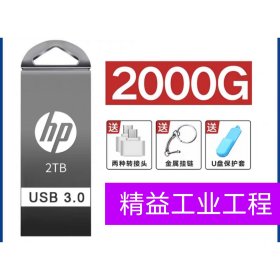 U盘—2TB，2000G，2*1000G，含手机转接头2个