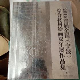 2015首届全国（宁波）综合材料绘画双年展作品集（16开精装 全一册 ）