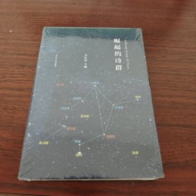 崛起的诗群