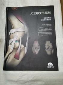 犬三维关节解剖
