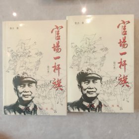 官场一杆旗 上下两册