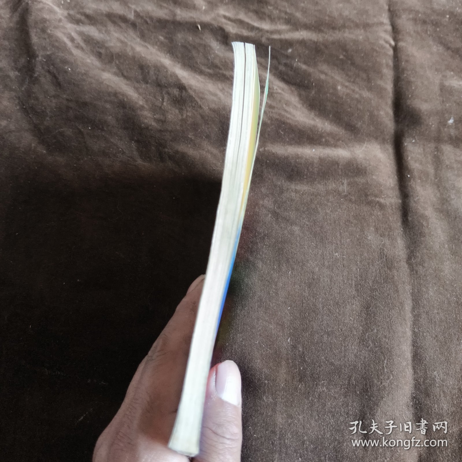 圣子到19【156】