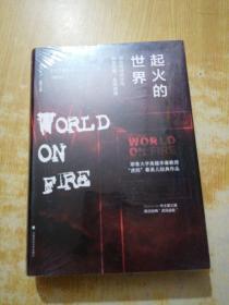 起火的世界：自由市场民主与种族仇恨、全球动荡（第二版）/雅理译丛