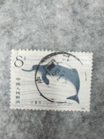 白暨豚邮票。