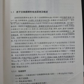 燃料电池·原理关键材料和技术：能源与环境出版工程