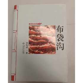 布袋溝9787535455659