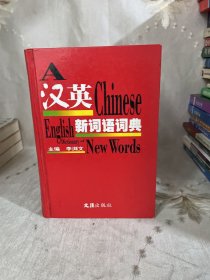 漢英新詞語詞典