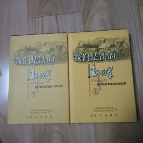 我们是铁的新四军:武汉新四军老战士回忆录.上下 上册有些污渍和破损，具体见说明