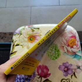 小学生课外精品阅读系列 淘气包爱上数学：不好玩的数学（一年级）