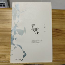 王小波时代三部曲：青铜时代