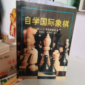 自学国际象棋